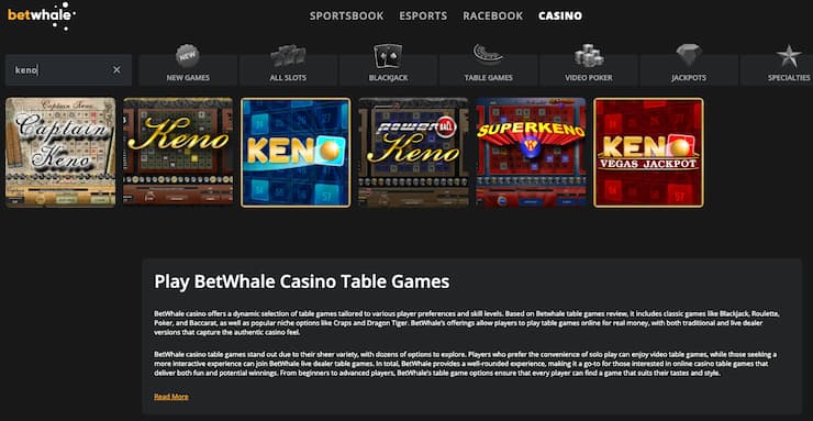 A screenshot of the keno options at Raging Bull, one of the best online keno sites for learning how to play keno.